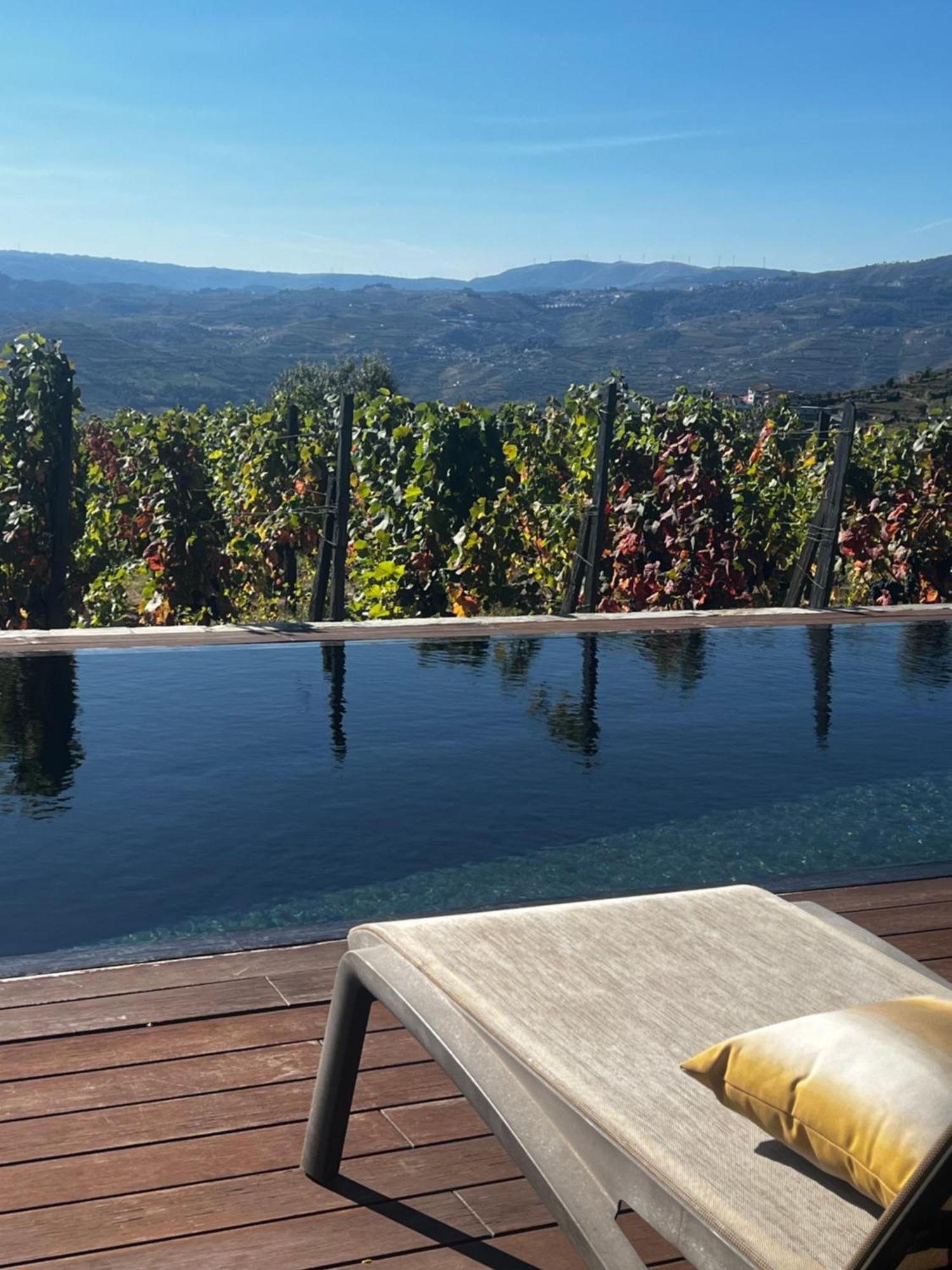 Casa Da Quinta De Santa Cruz - Douro Valley - By Met Peso da Regua Exterior photo