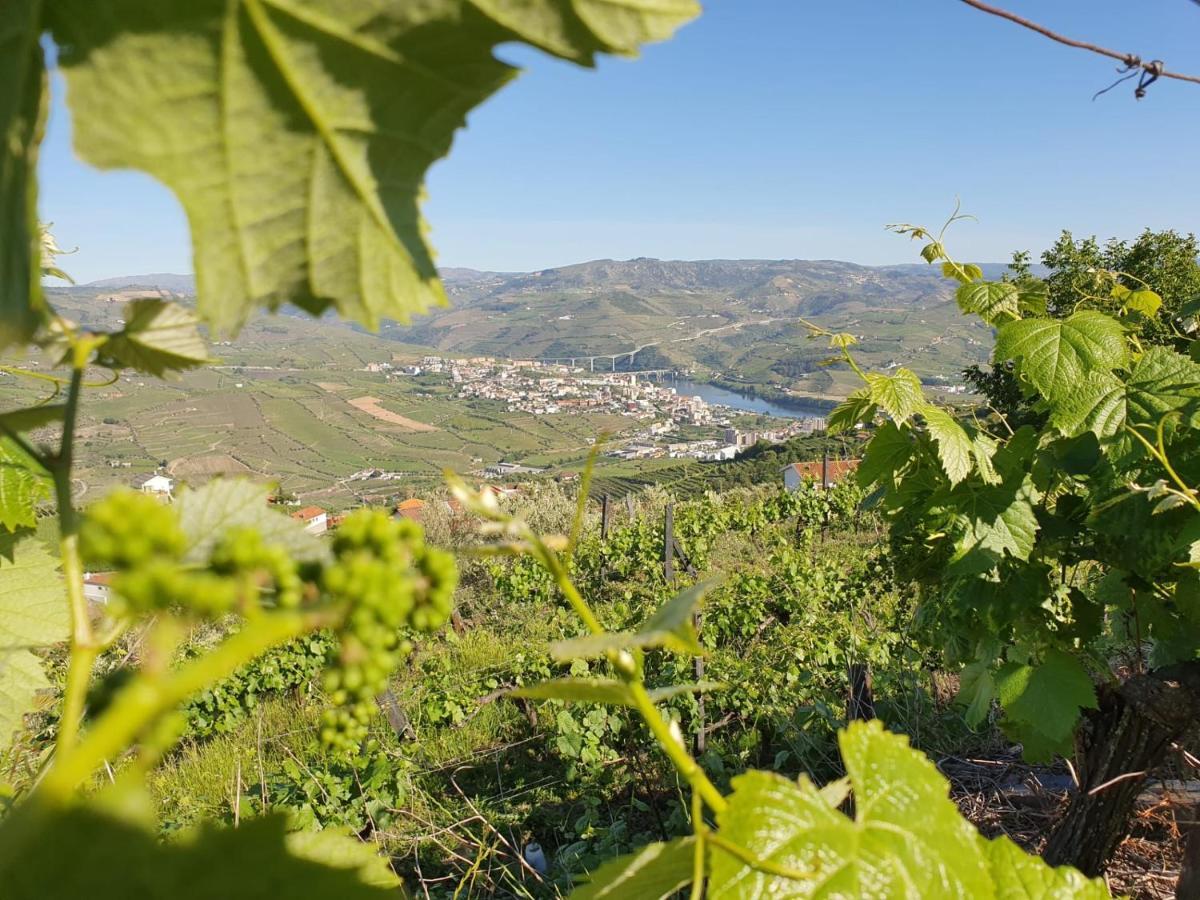 Casa Da Quinta De Santa Cruz - Douro Valley - By Met Peso da Regua Exterior photo