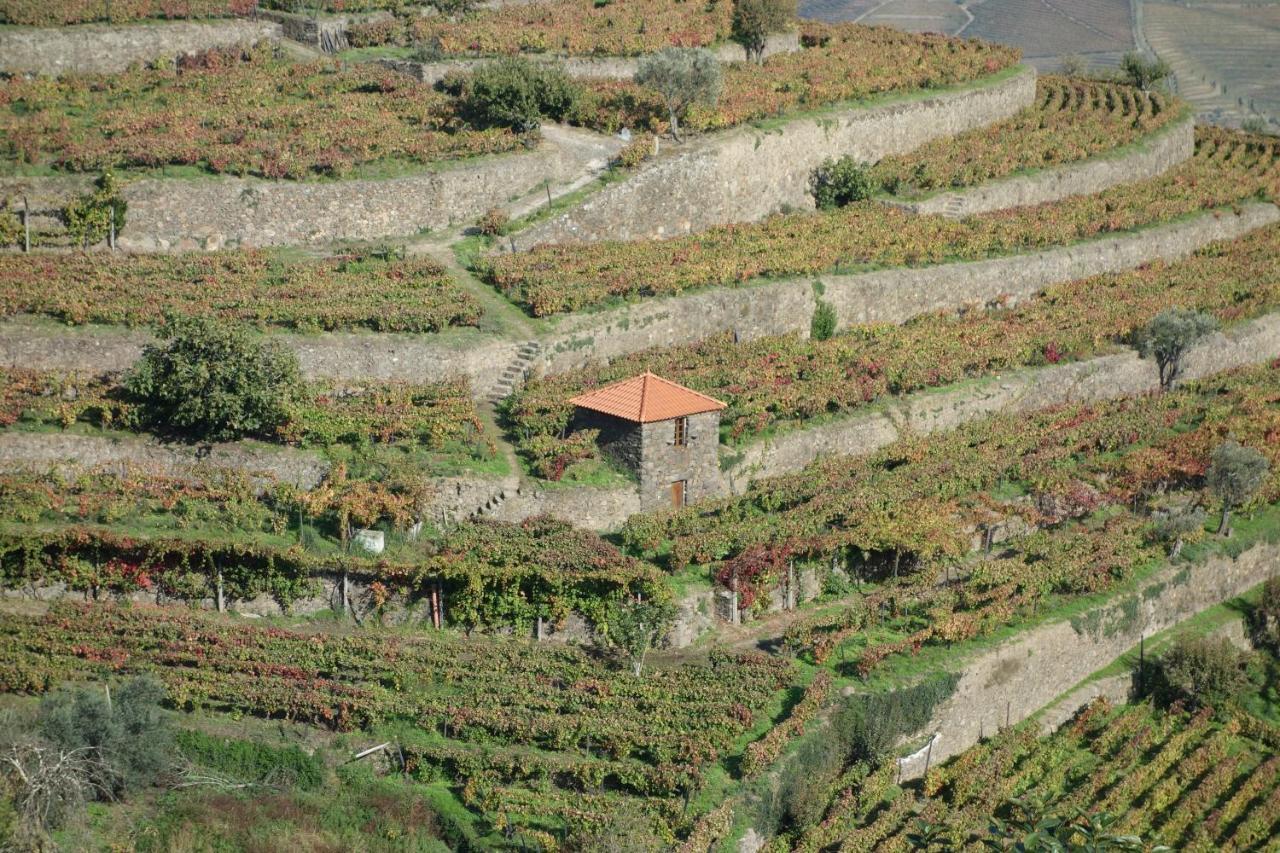 Casa Da Quinta De Santa Cruz - Douro Valley - By Met Peso da Regua Exterior photo