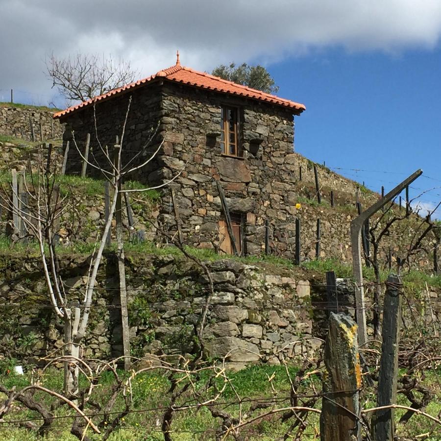 Casa Da Quinta De Santa Cruz - Douro Valley - By Met Peso da Regua Exterior photo